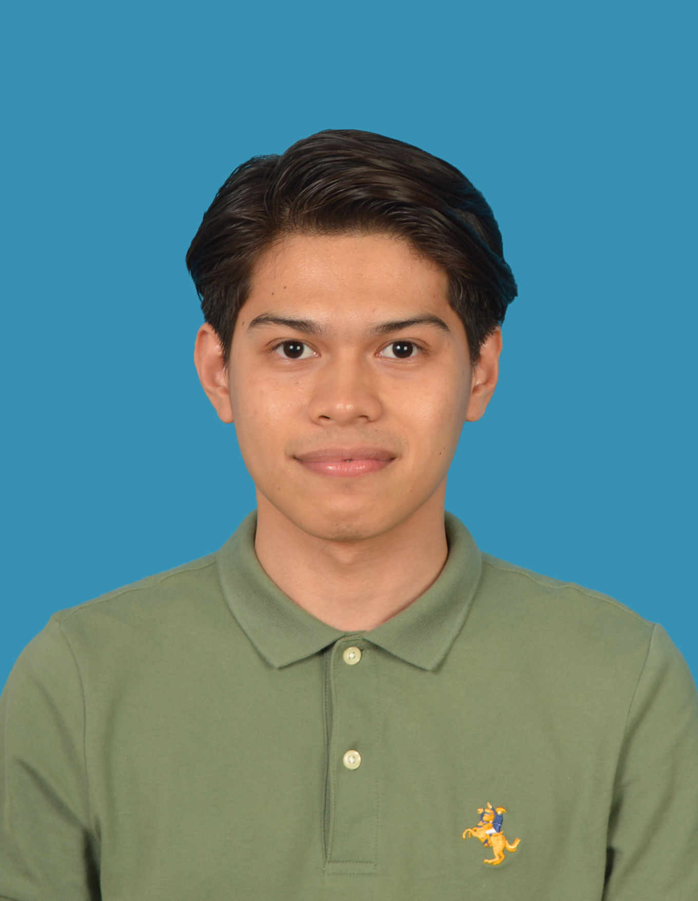 MOHAMAD HARIZ AIDZUDDIN BIN MOHD ARSHAD